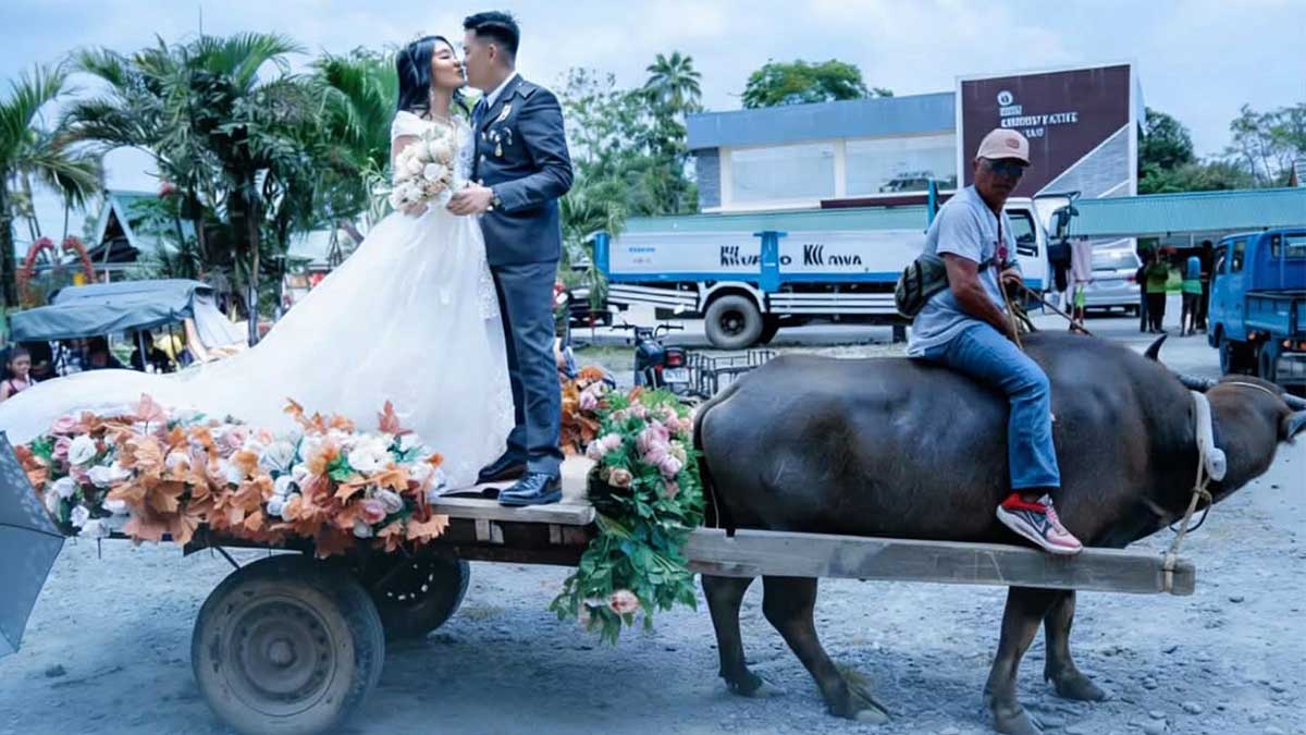 Carabao-drawn sledge used in Apayao wedding amid fuel hike