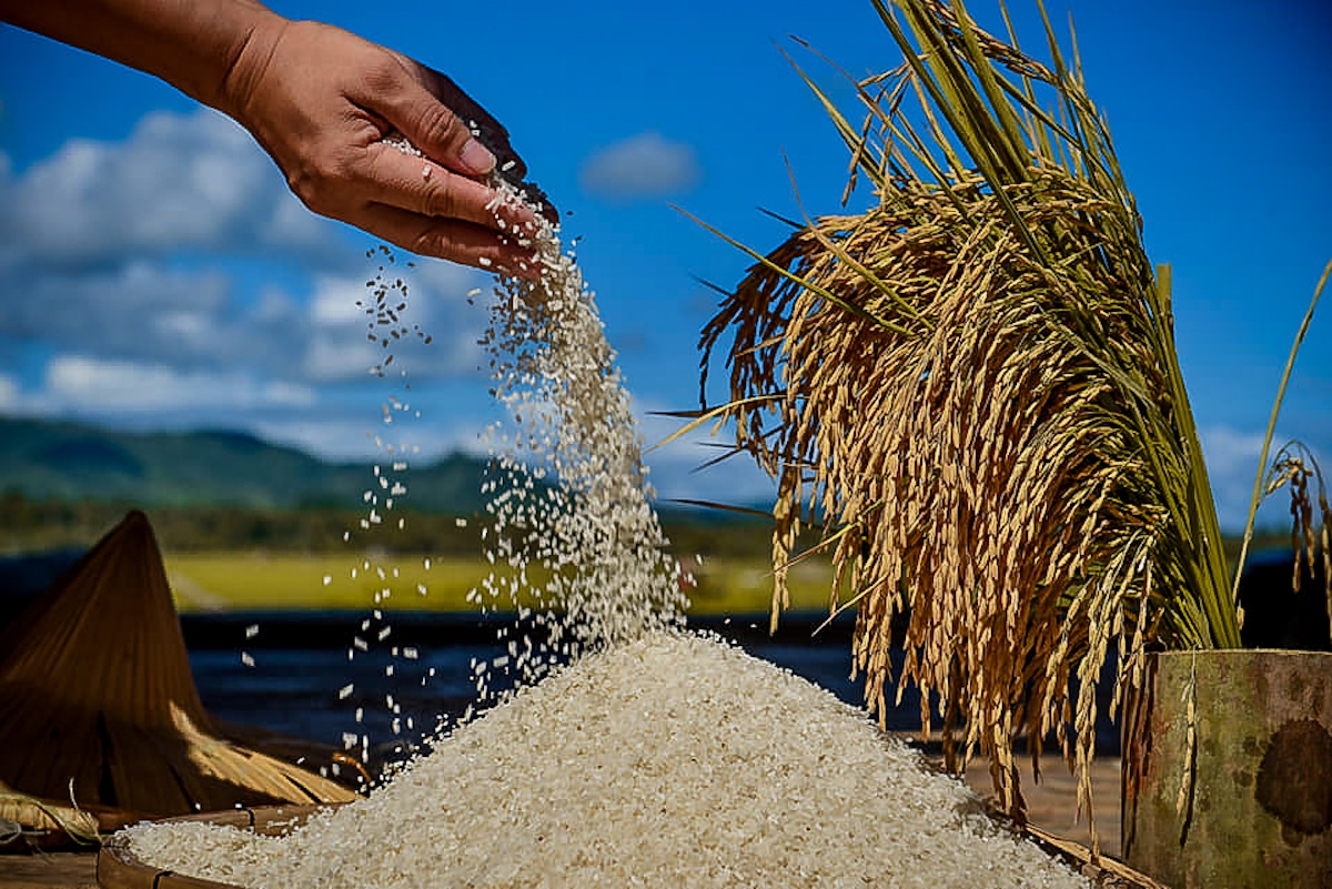 PH farm, fisheries production dips in Q1