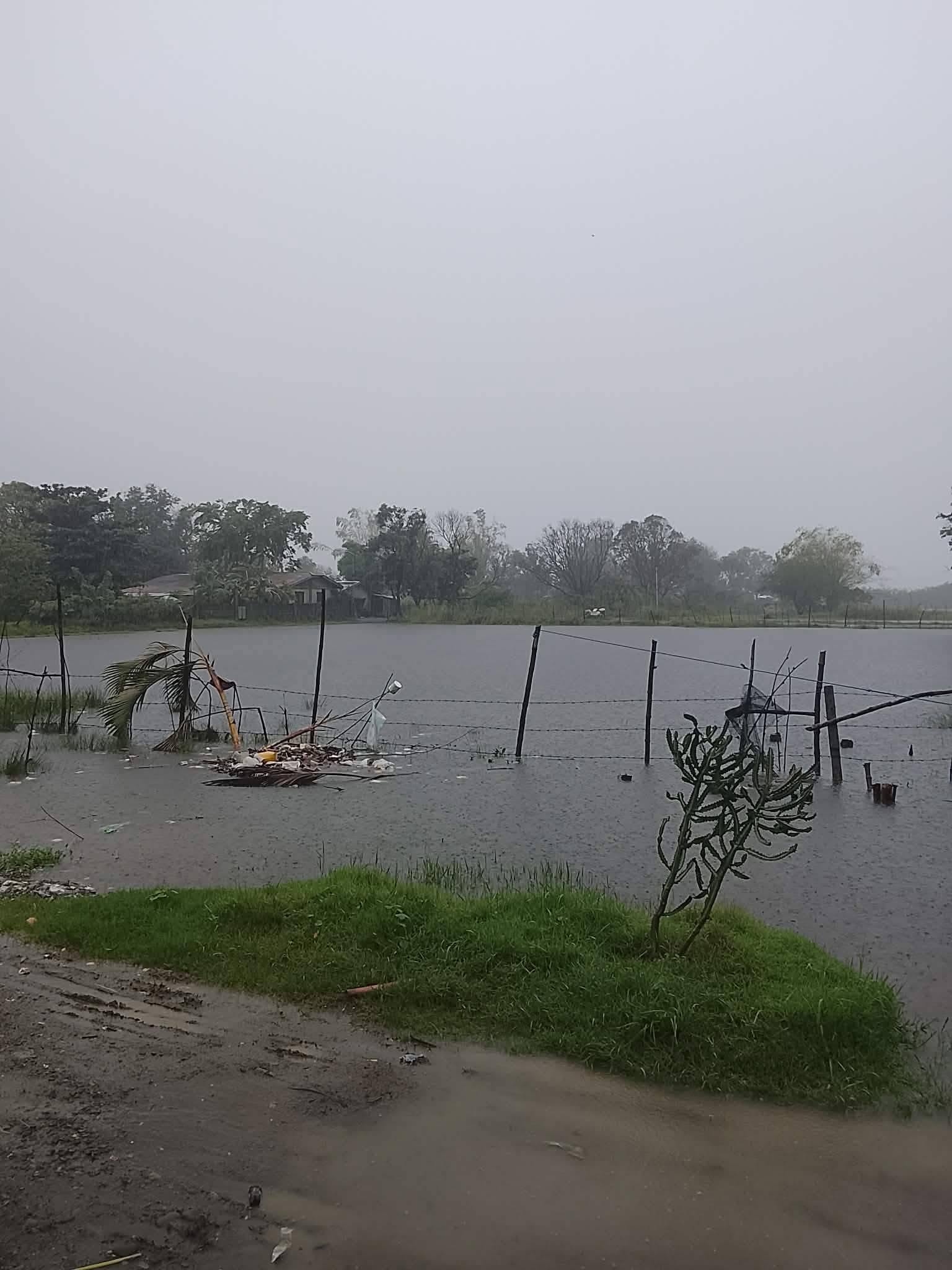 Gov’t aid sought for disaster-stricken Ilocos farmers, fishermen