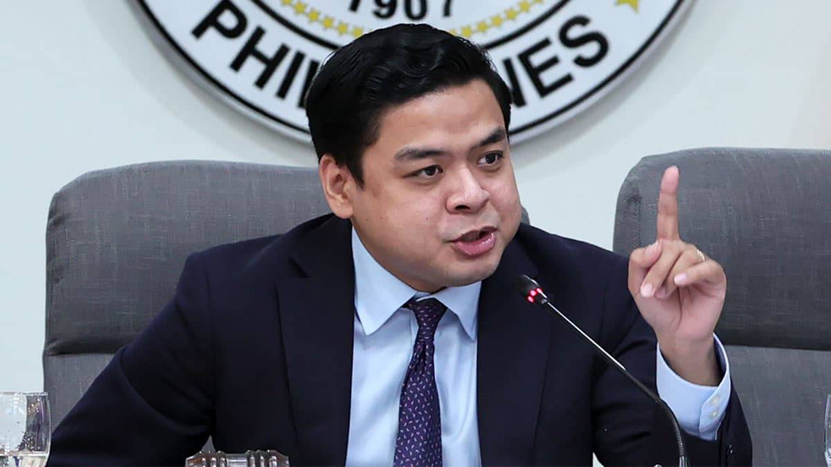 Ridon tags VP petition as ‘clear attempt to mislead Court and public’