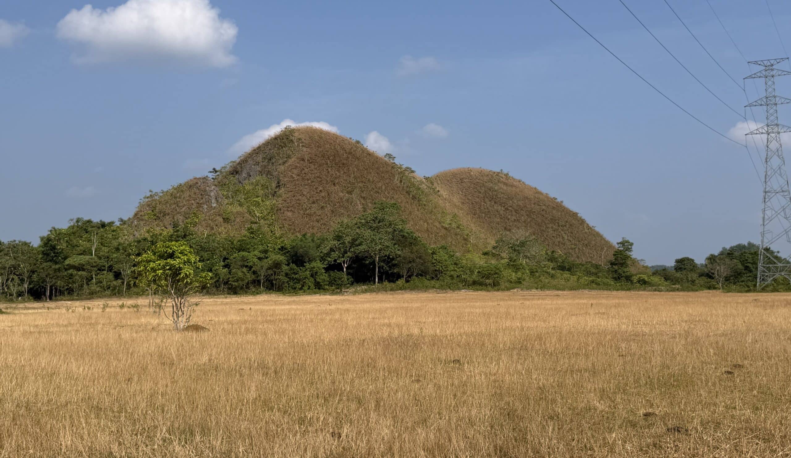 Bohol farms reel from El Niño, suffer P173.7M in losses