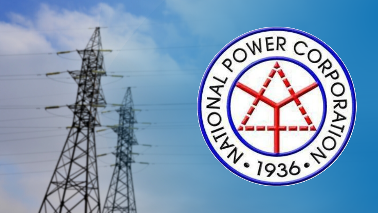 Napocor seeks extra P10.82B for missionary electrification