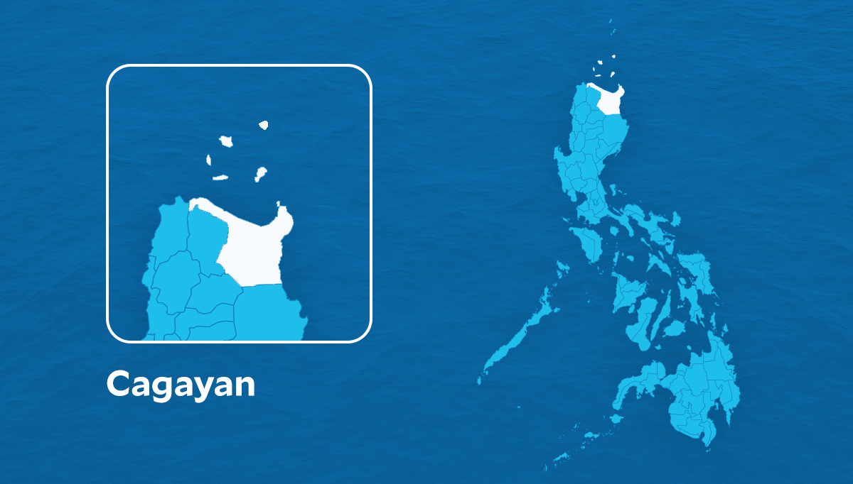 150 hectares of palay farms ravaged by ‘ulmog’ in Cagayan town