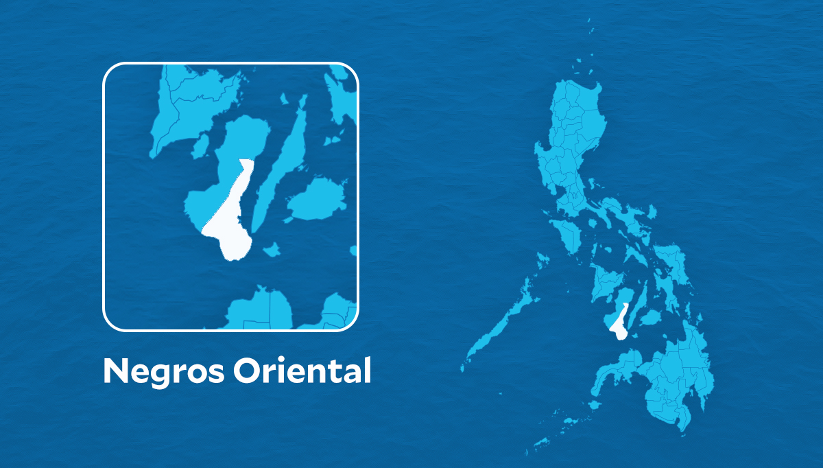 P40-M illegal cigarettes seized, 10 nabbed in Negros crackdown