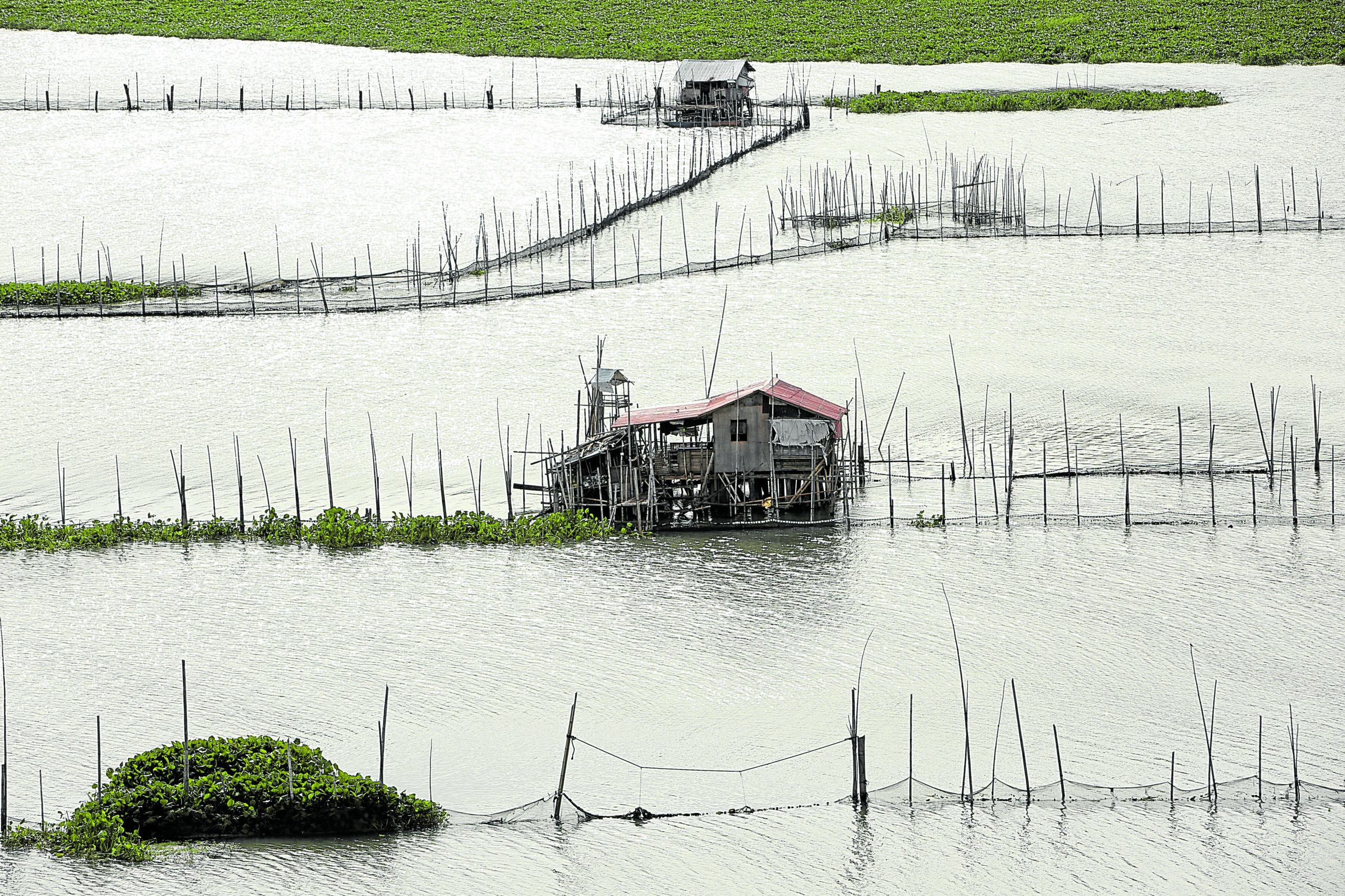 Laguna de Bay water level rises, remains below critical mark