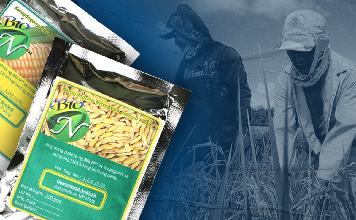 UPLB Bio-N exclusivity deal blamed for biofertilizer program’s failure