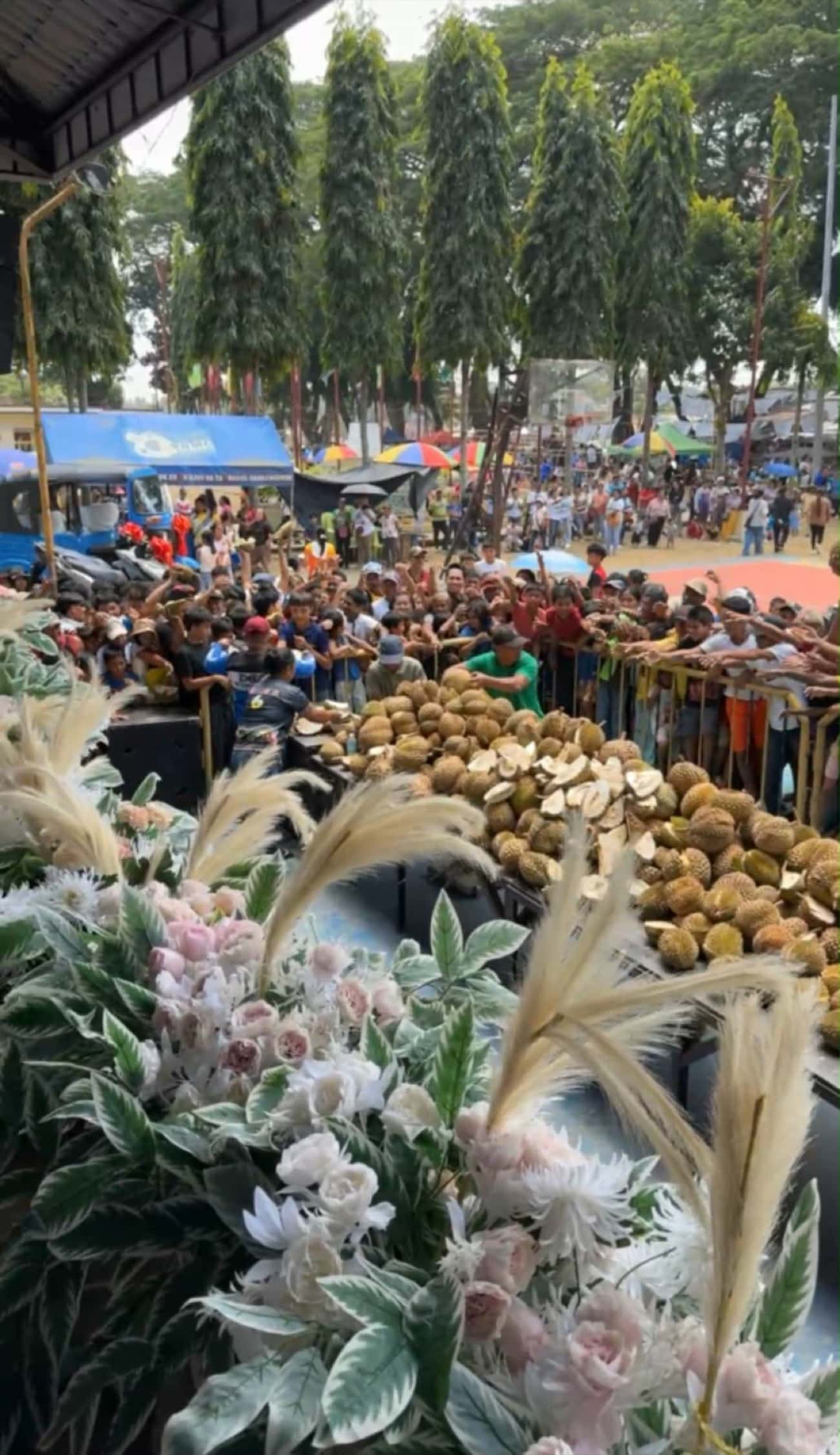 Dangcagan, Bukidnon caps 18th Durian Festival with durian freebies