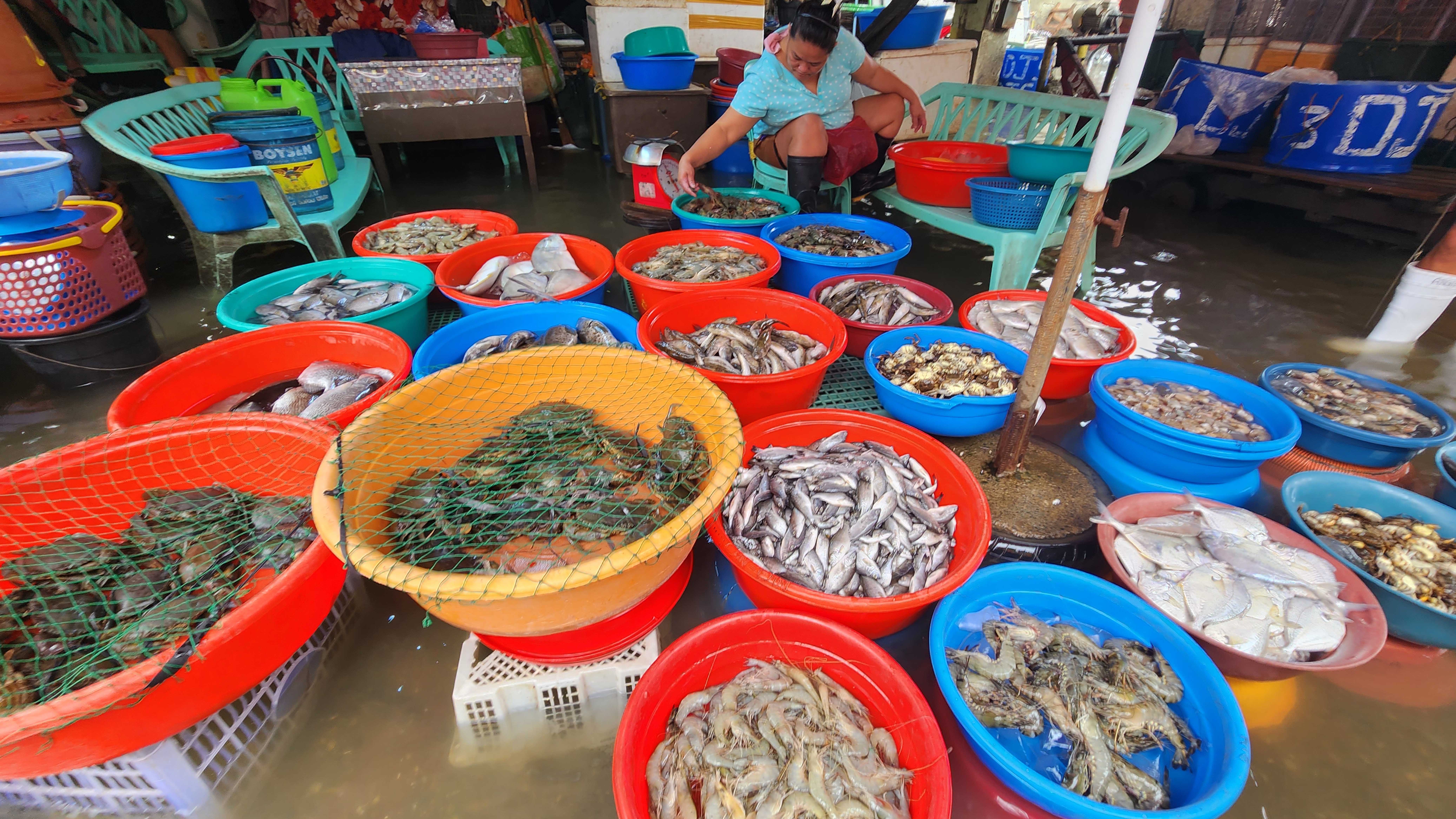 DA: Agri damage from storms, monsoon rains nears P700M