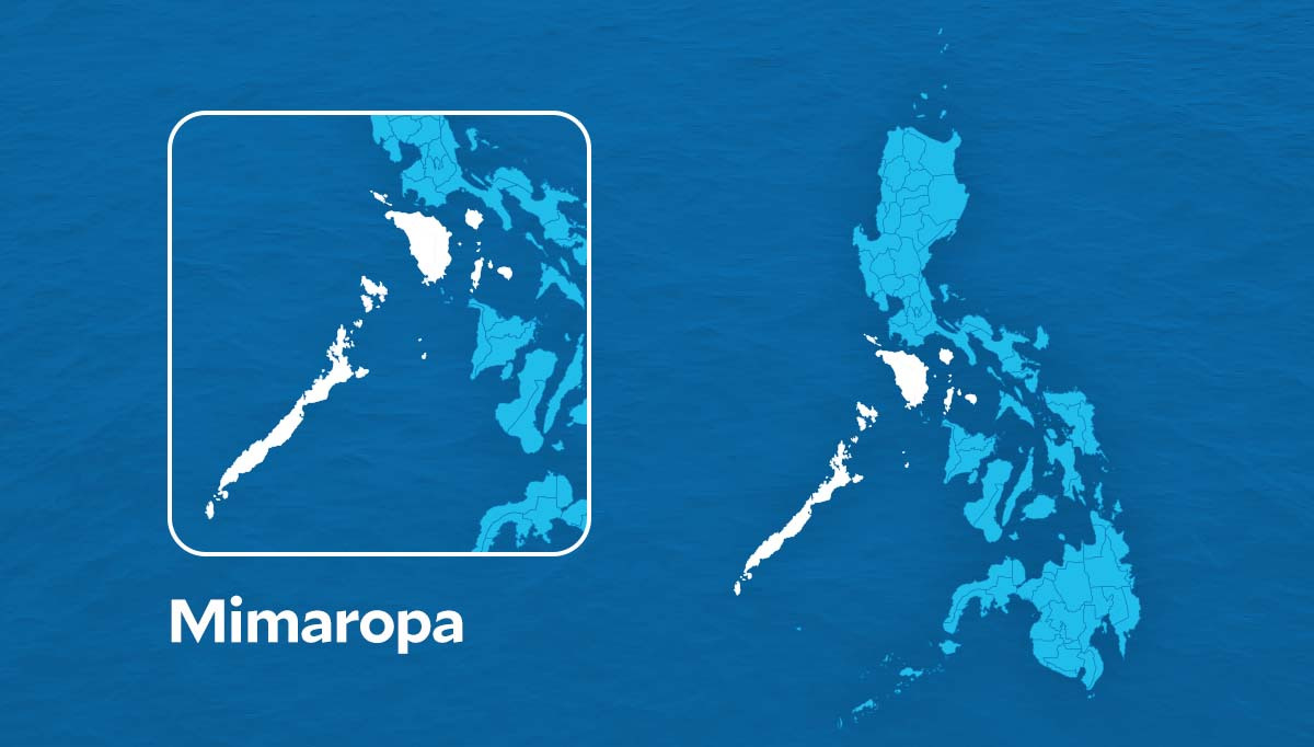MIMAROPA drivers to get P5,000 cash aid amid rising fuel prices