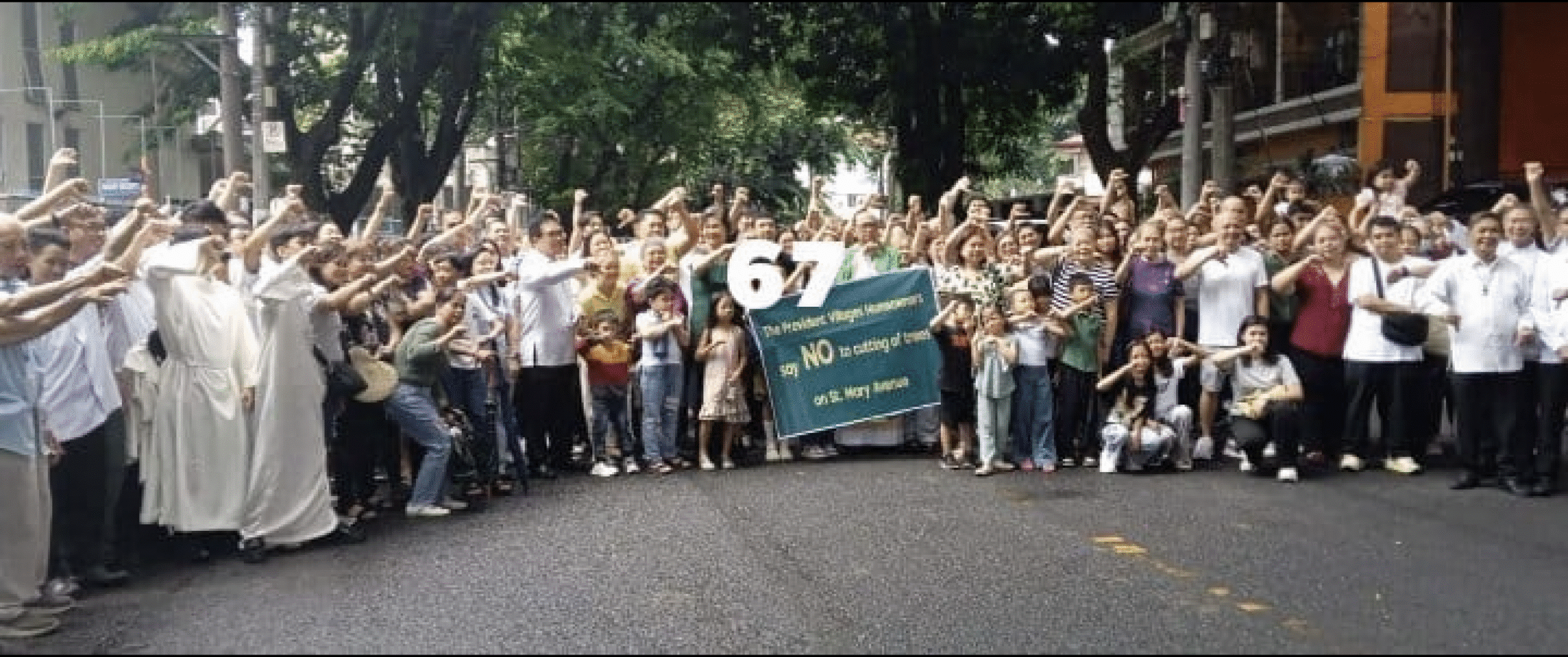 Provident Villages, Marikina residents fight plan to chop off big old trees