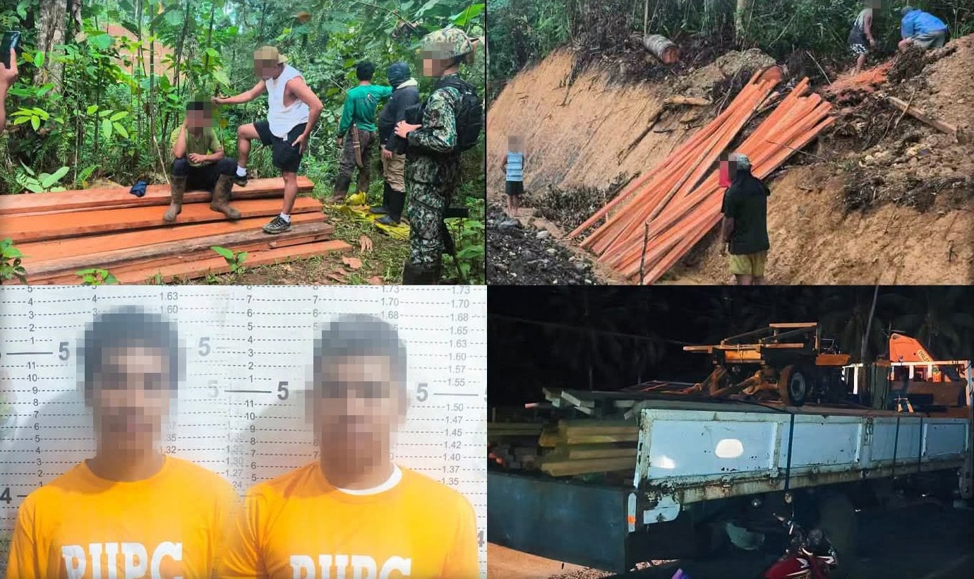 2 nabbed, P810k in poached lumber seized in Surigao del Sur