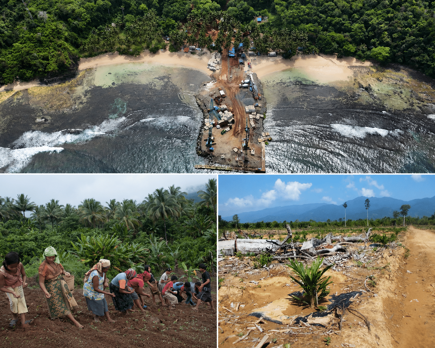 Palawan council blames kaingin for forest loss; group disputes framing