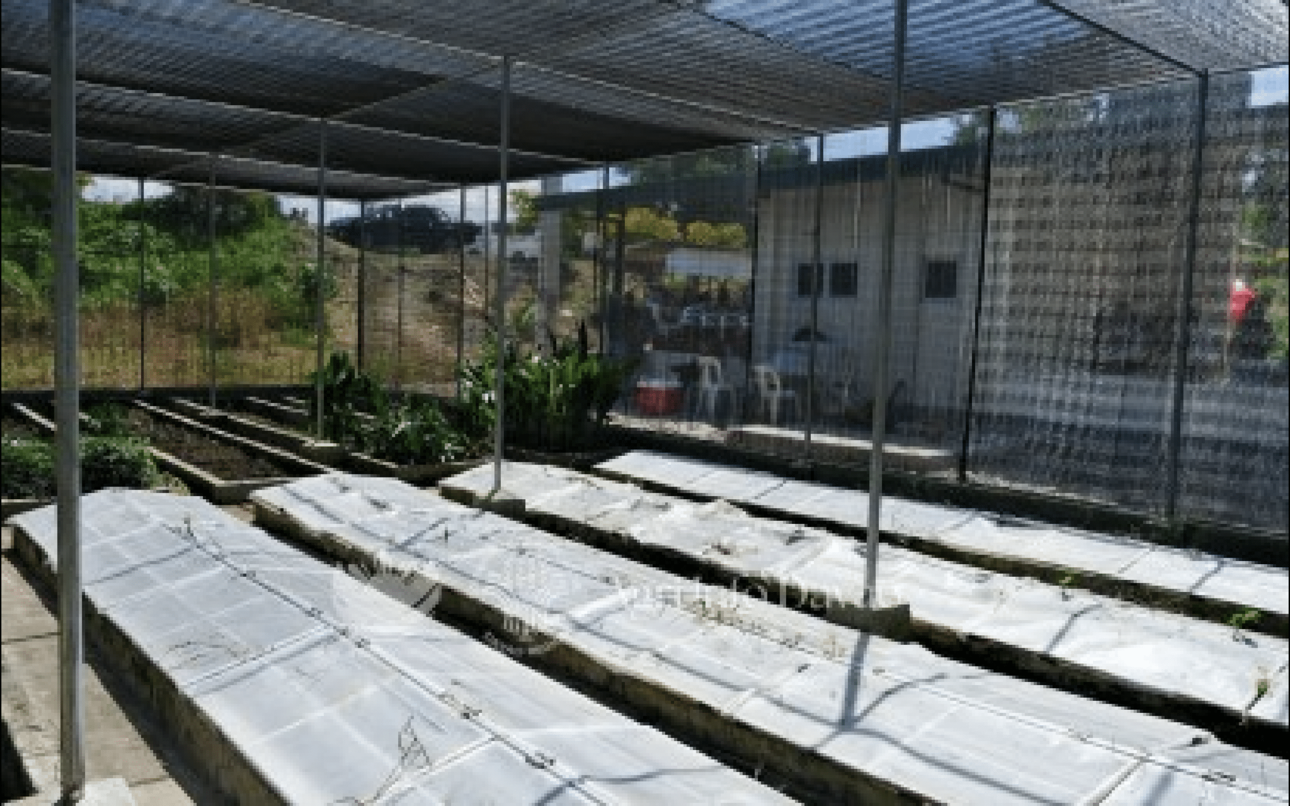 DA turns over P1.7M nursery to Davao Sur state college