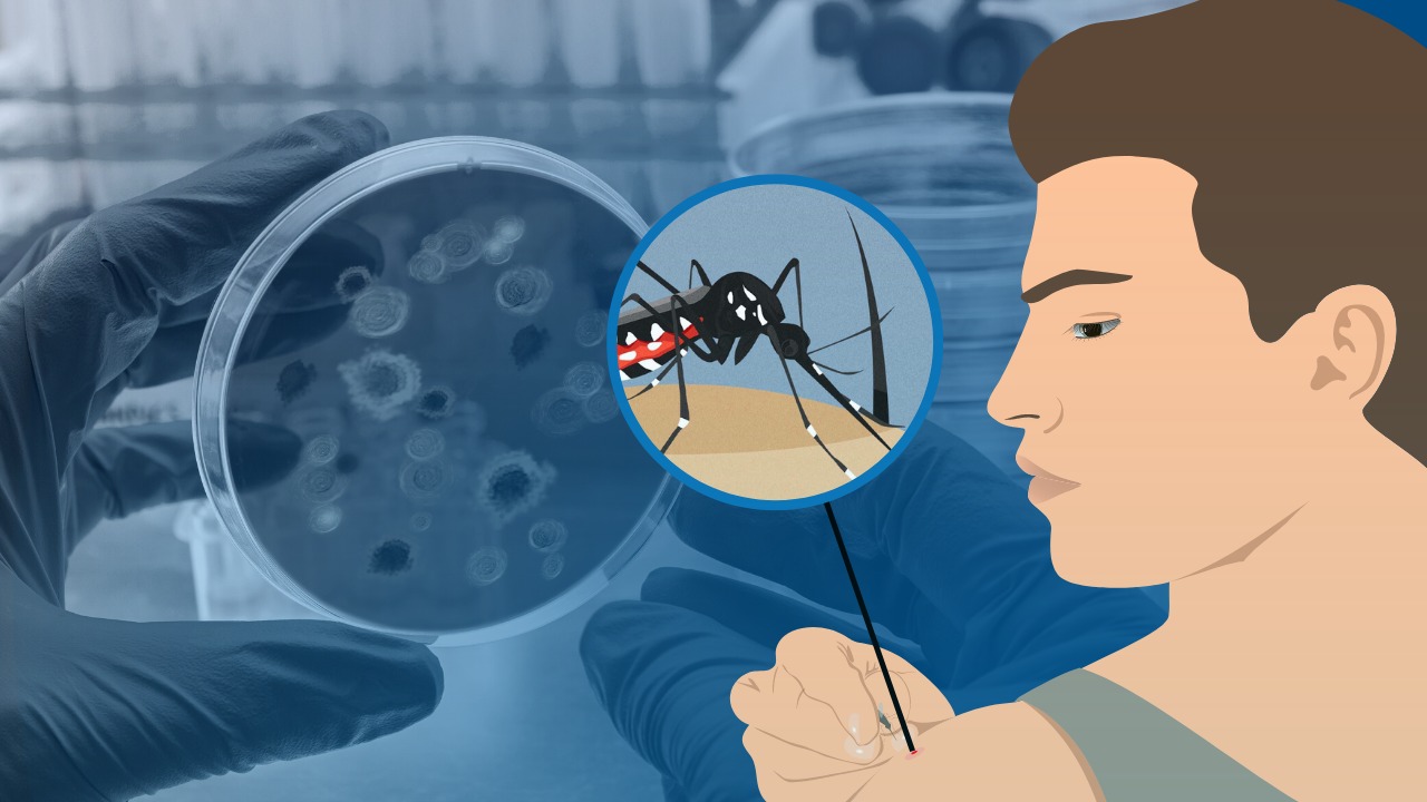 UP study finds disturbed habitats may harbor more mosquito viruses