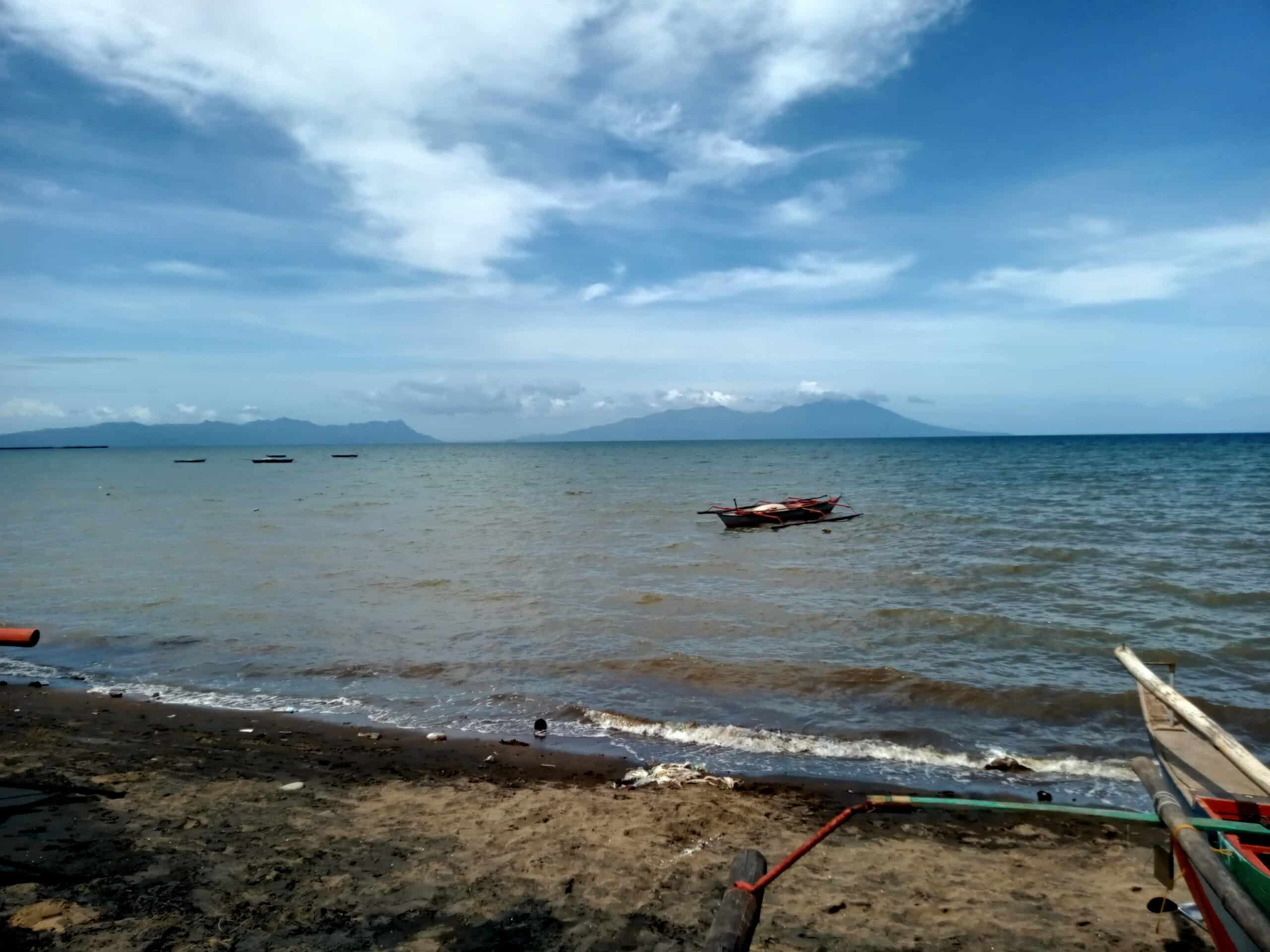Red tide-causing organism detected in Carigara Bay waters