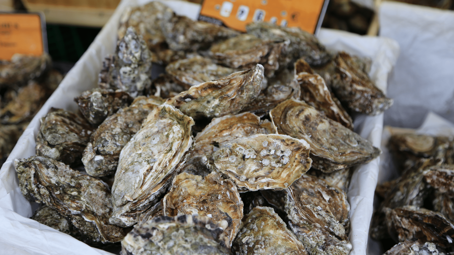 Red tide warning up in 2 Pangasinan towns