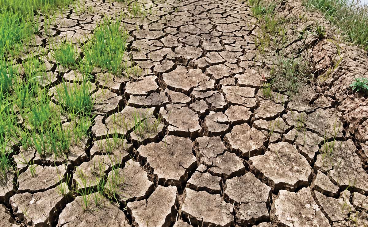 El Niño disrupts rice planting, water supply in Agusan del Sur