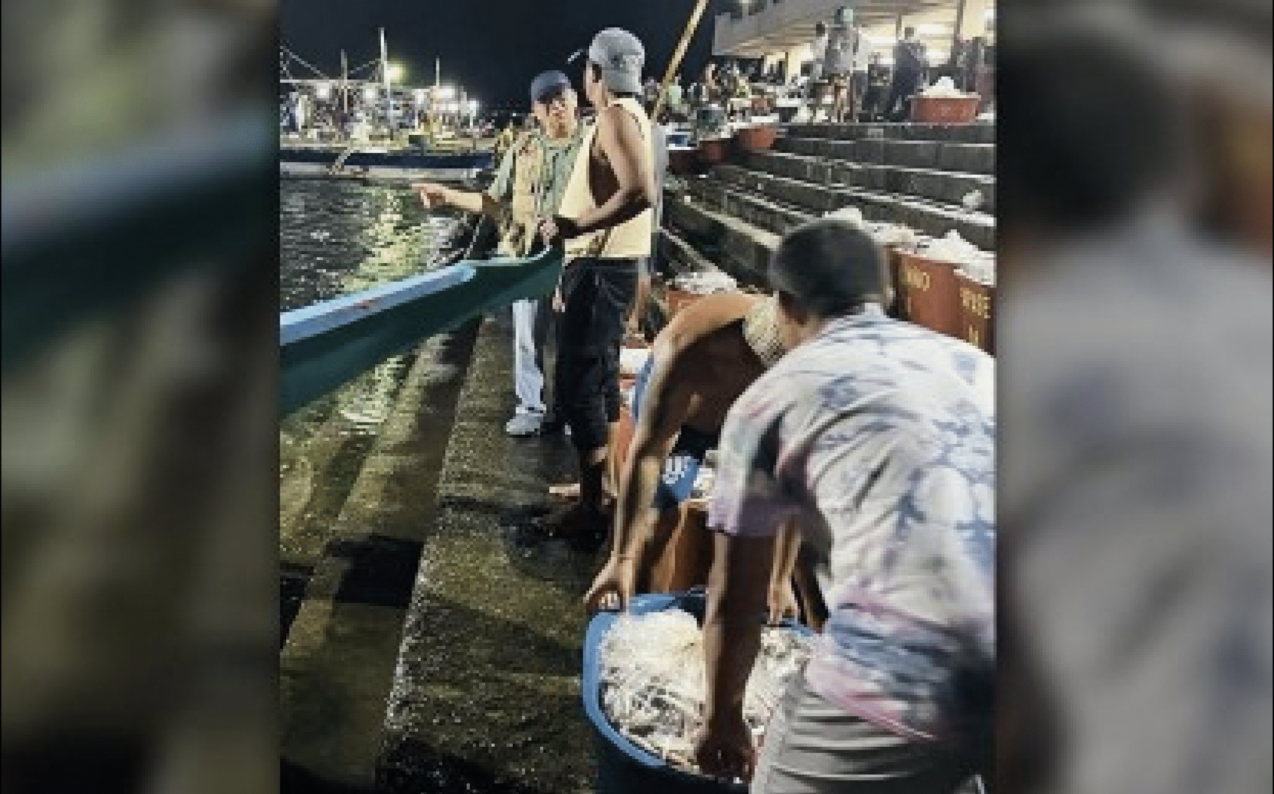 BFAR seeks to regulate oversupply of ‘tamban’ in Sorsogon