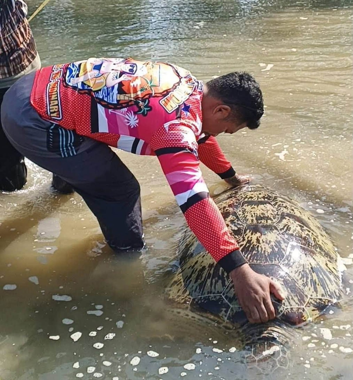 Stranded giant sea turtle rescued in Lebak, Sultan Kudarat