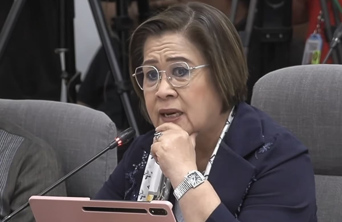WATCH: De Lima comments on case vs justice committee members