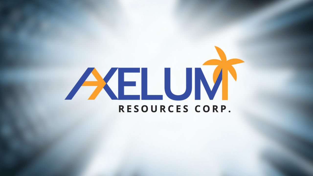 Axelum profit rises 23% to P850M on record sales