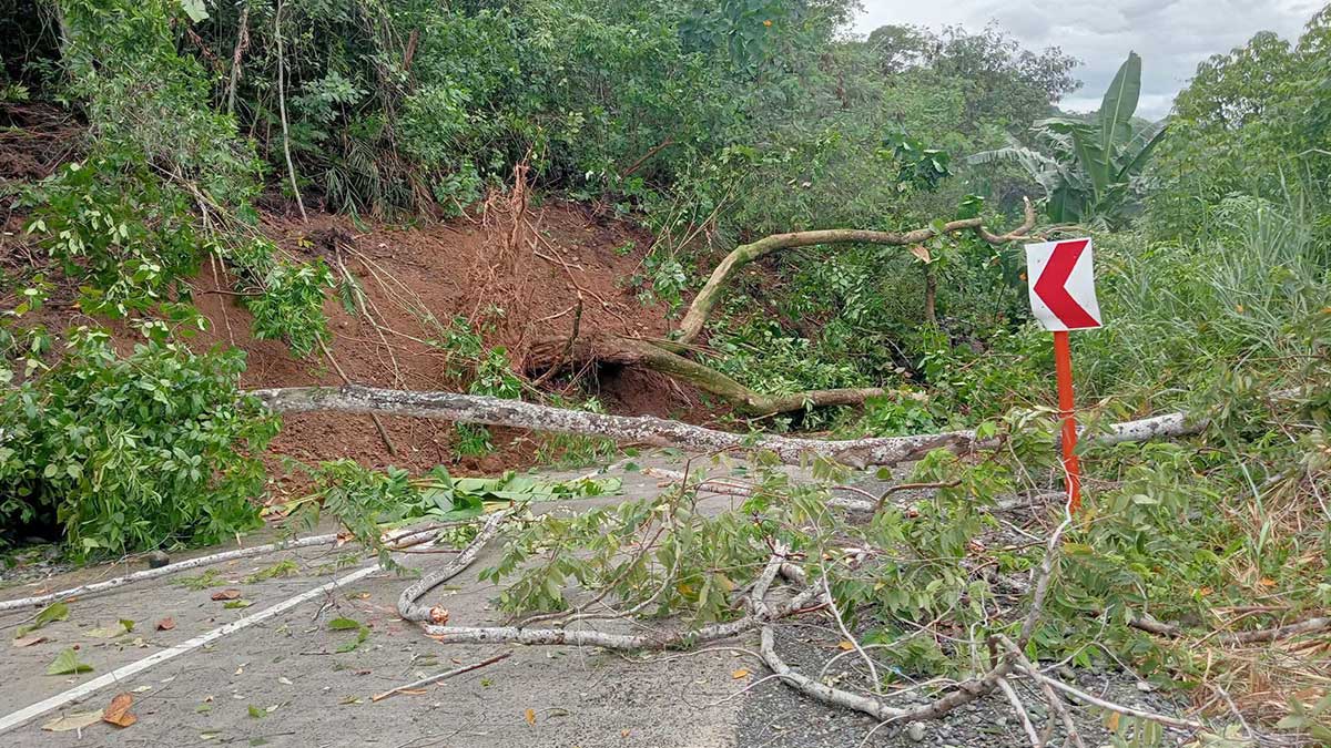 Landslide cuts off another Bukidnon-Davao road link