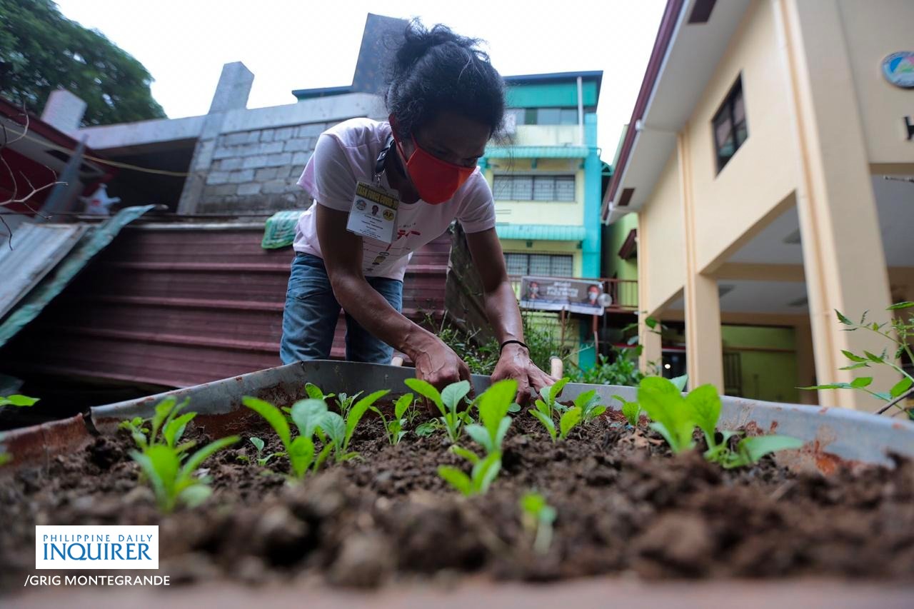 Gulayan sa Barangay at Paaralan program bill pushed