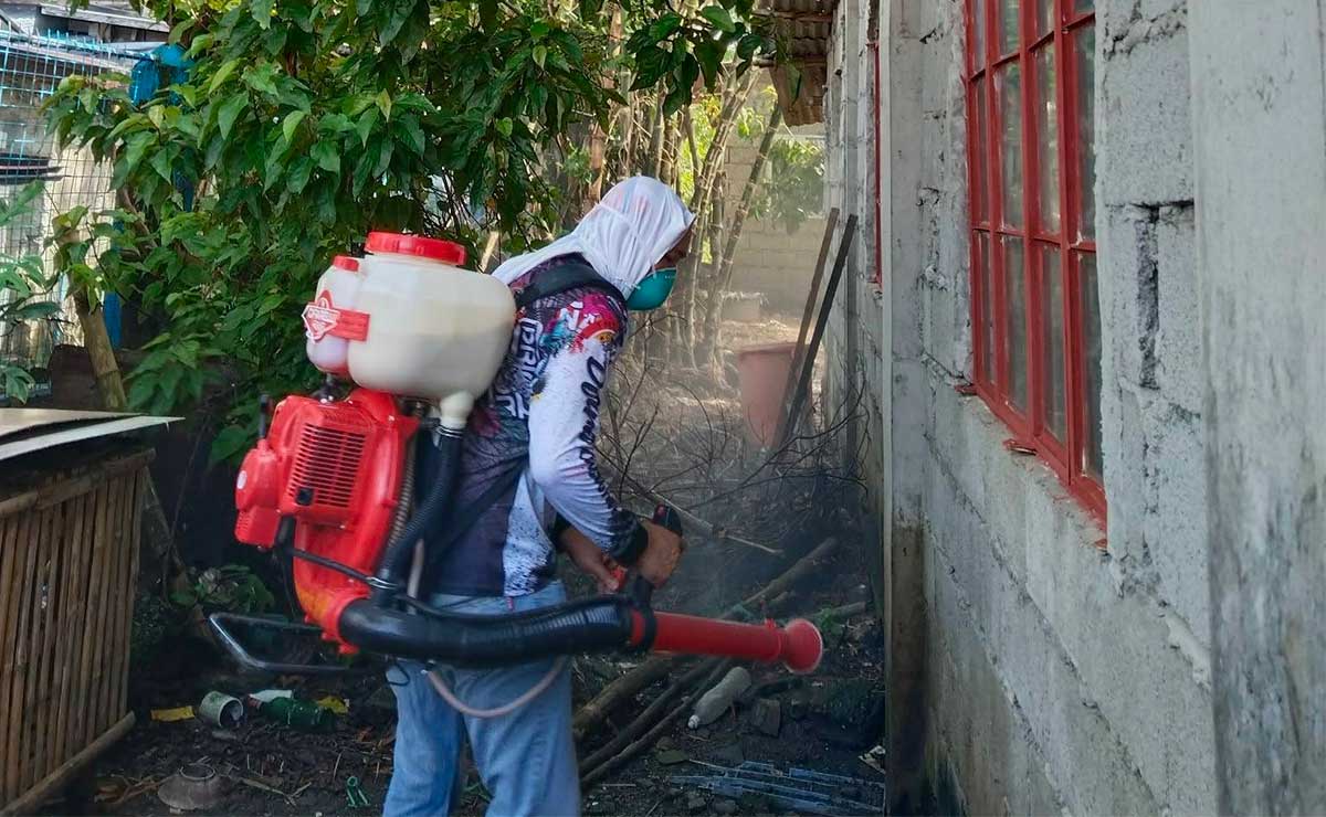 Ilocos Norte logs 115 new dengue cases