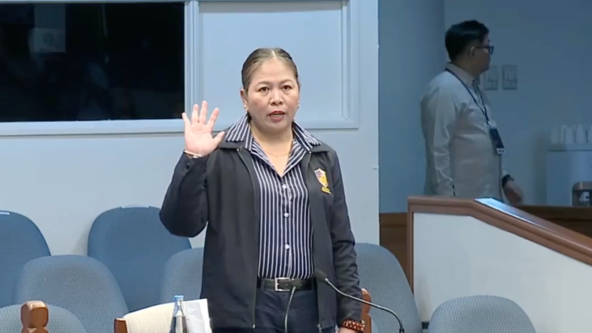 WATCH: Ombudsman lawyer takes the witness stand