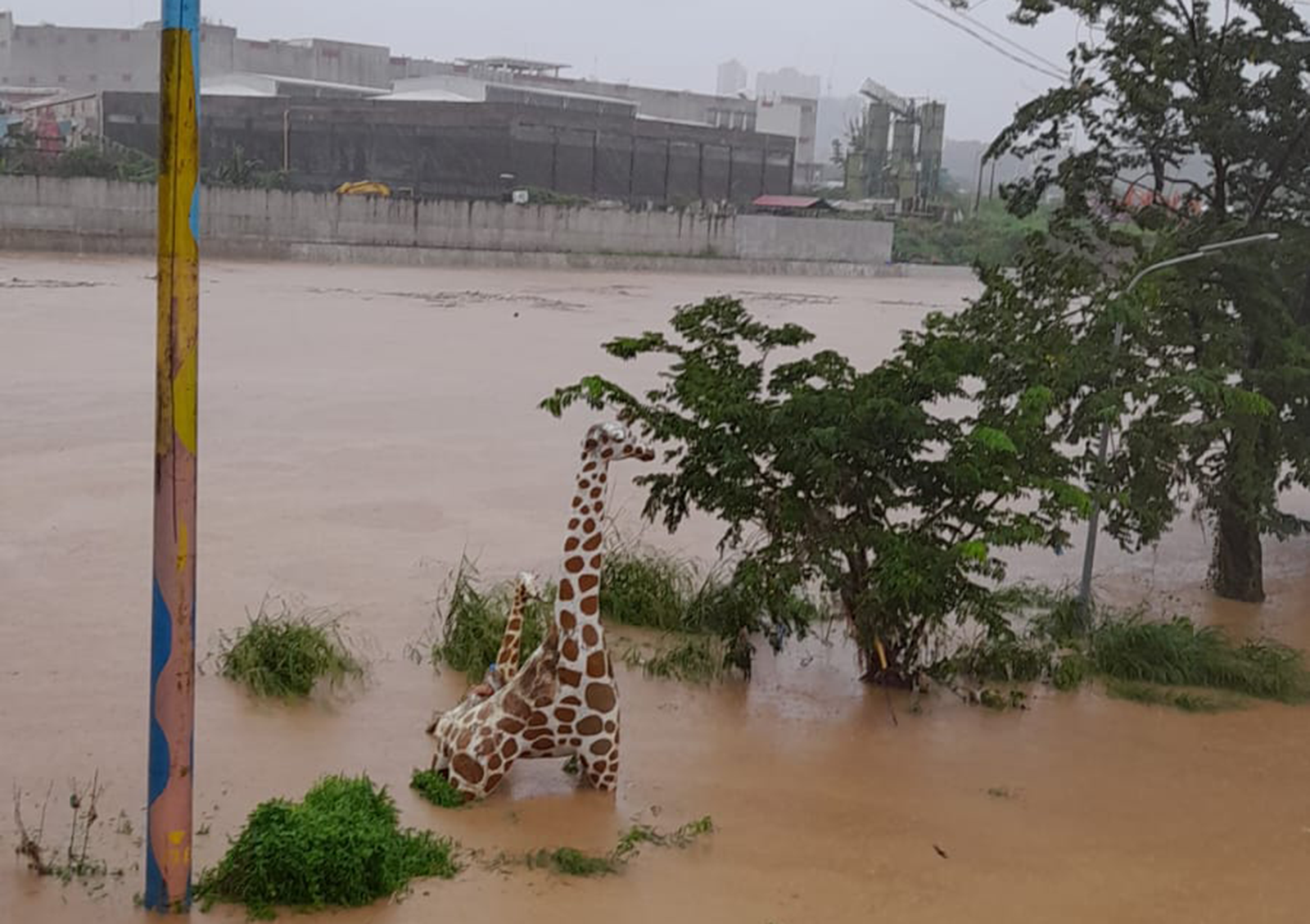 First alarm persists for Marikina River water level due to habagat