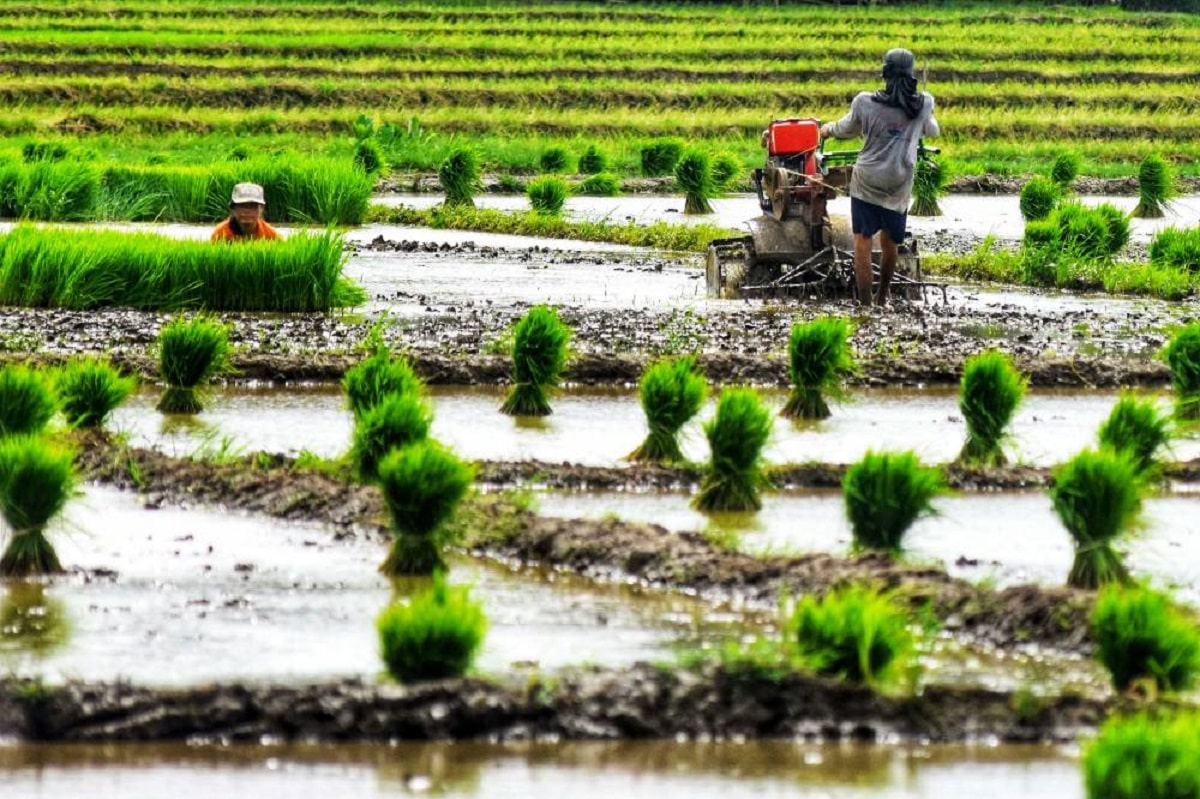 House panel OKs 16-B agriculture budget amendments for 2027