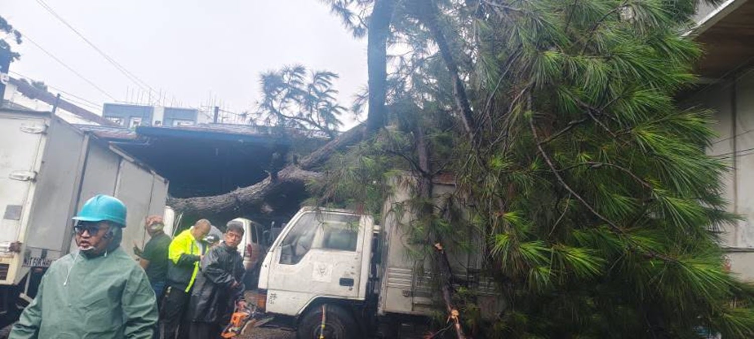 Typhoon Inday topples trees, crushes vehicles in Baguio