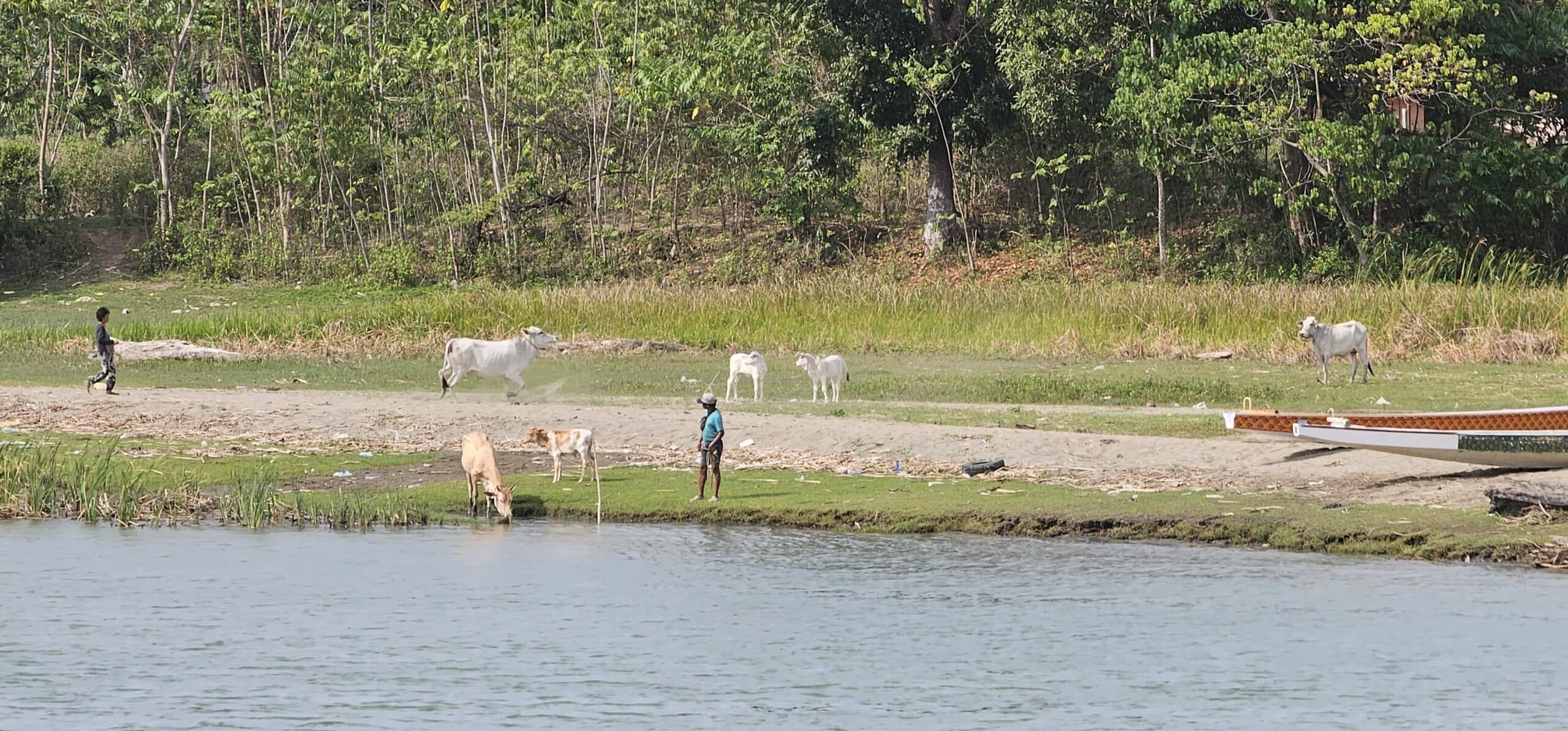 DA urges Mindanao farmers to brace for drought 