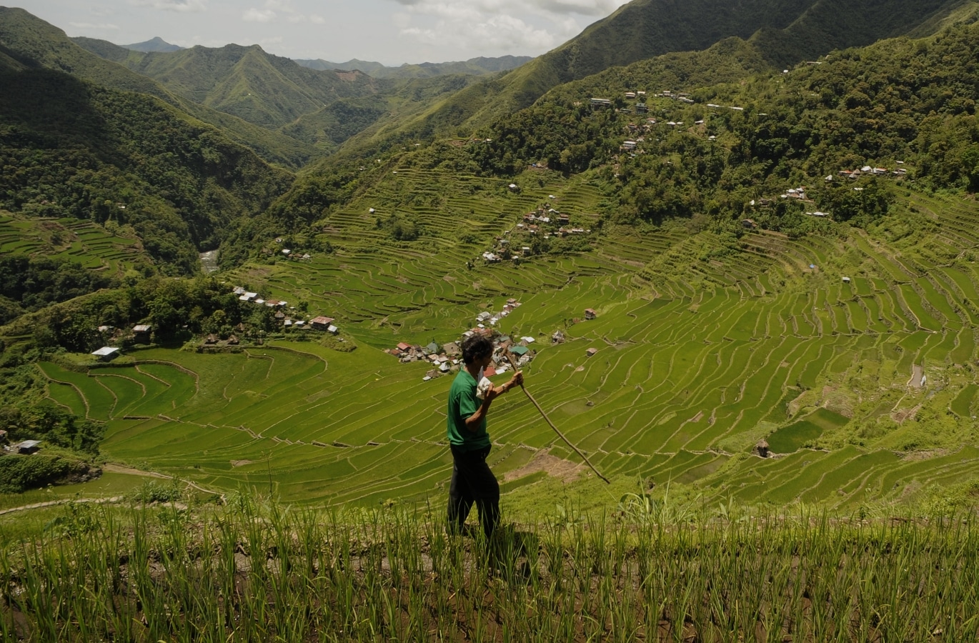 Development master plan eyed for Ifugao Rice Terraces