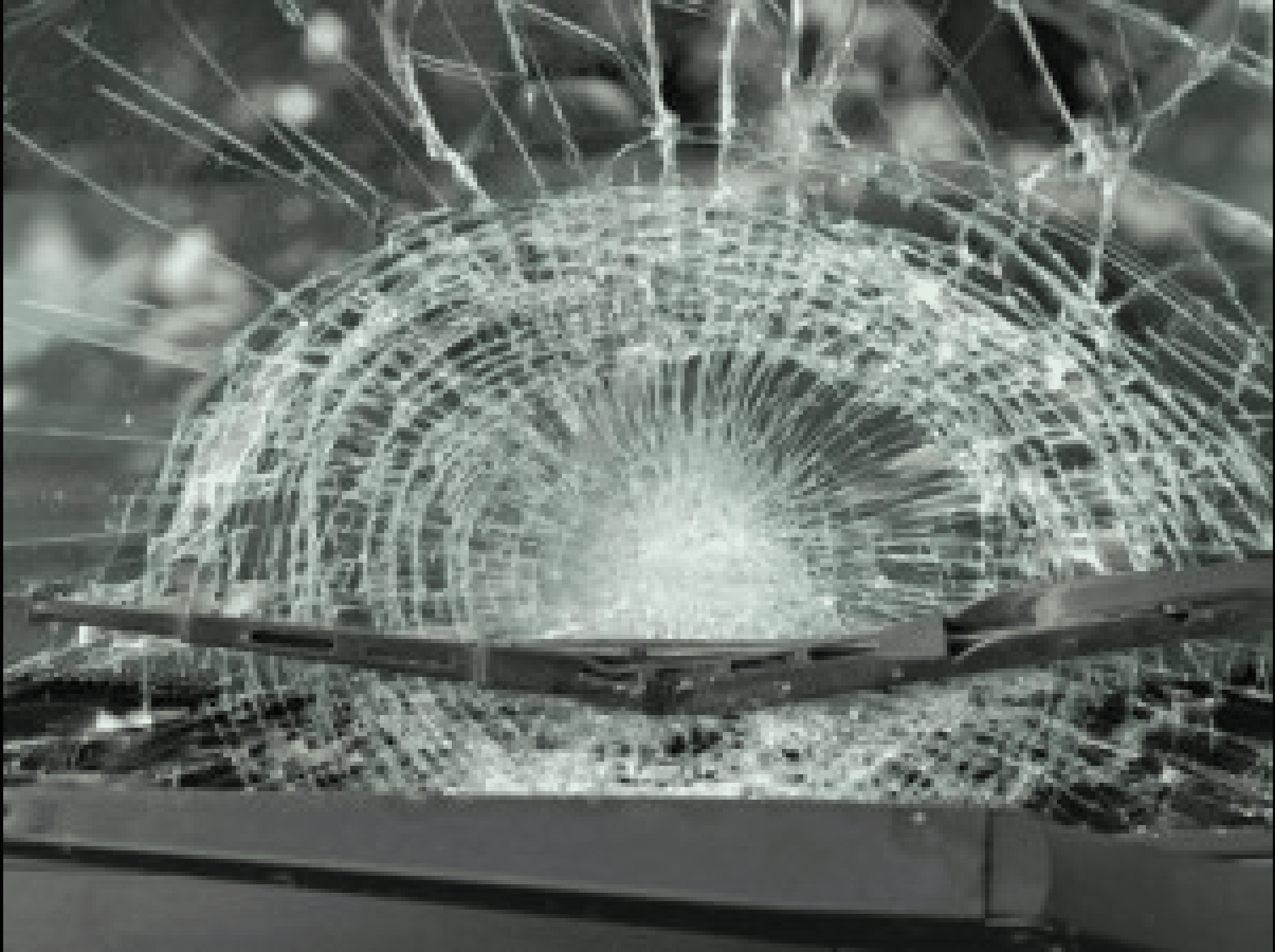 LTFRB probes fatal jeepney crash after ‘overtaking spree’ in Rizal