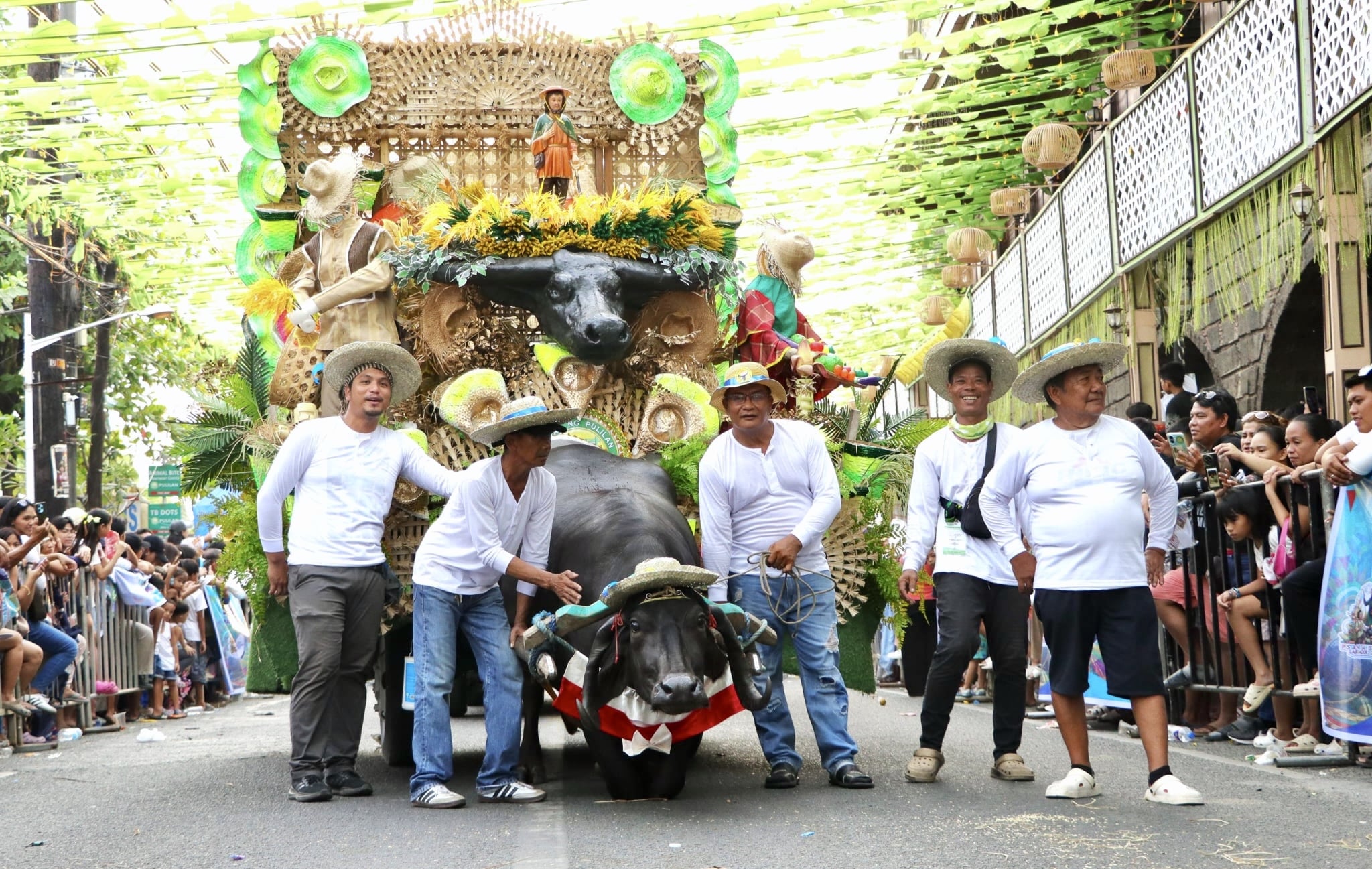 Faith, color and fun draws 30,000 crowd to Kneeling Carabao Festival
