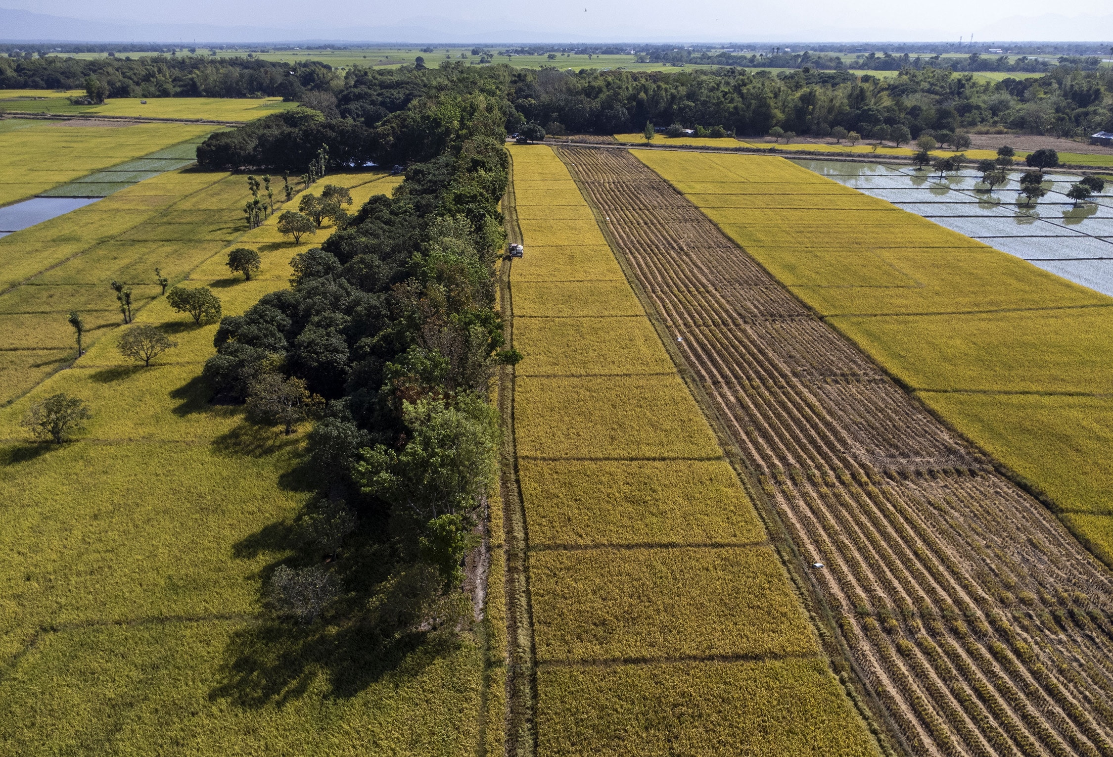 DA budgets P33-B for farm-to-market roads