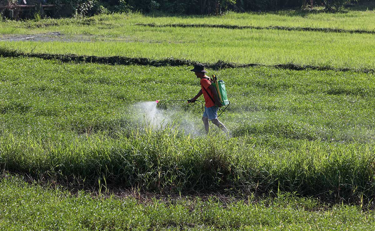 El Niño threat triggers race to save power, water in provinces