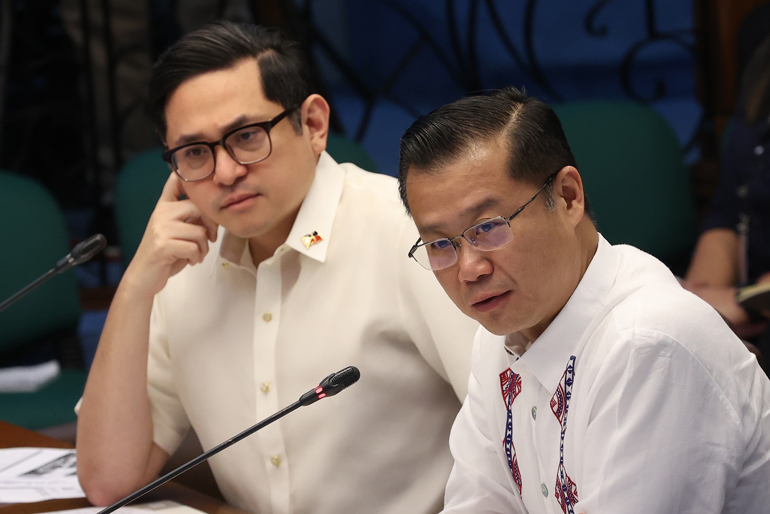 Senate panel pushes fuel rationing, other crisis measures