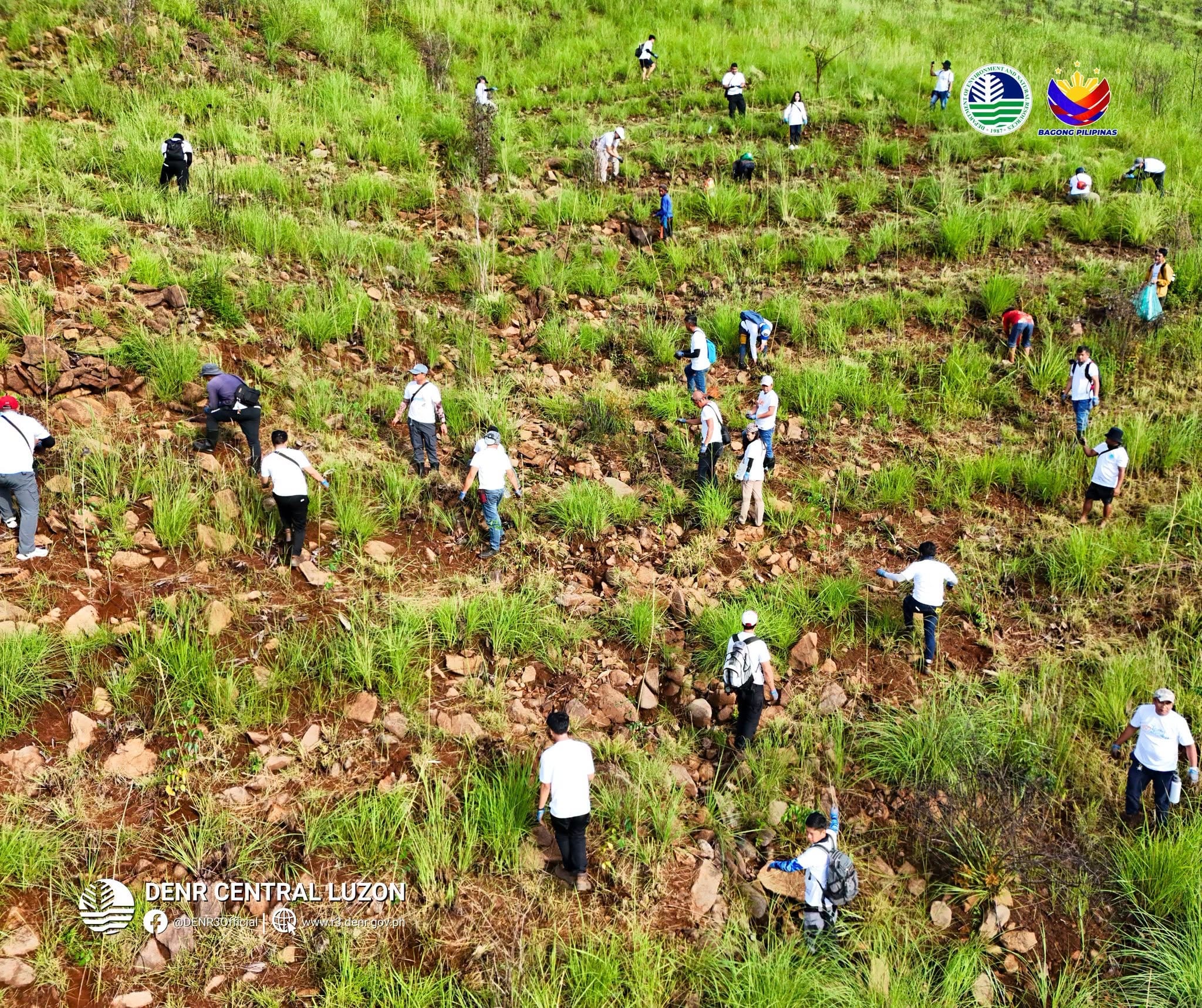 DENR to plant, distribute 1.6M seedlings in Central Luzon for Arbor Day