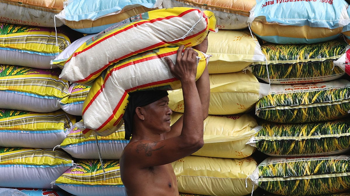 NFA to auction 741,570 bags of local rice