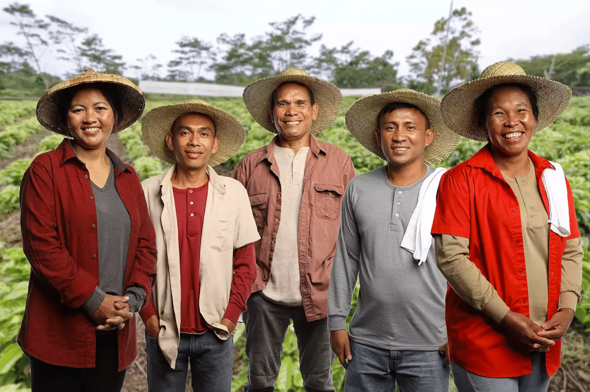 Nestle brews new ways to grow PH coffee supply