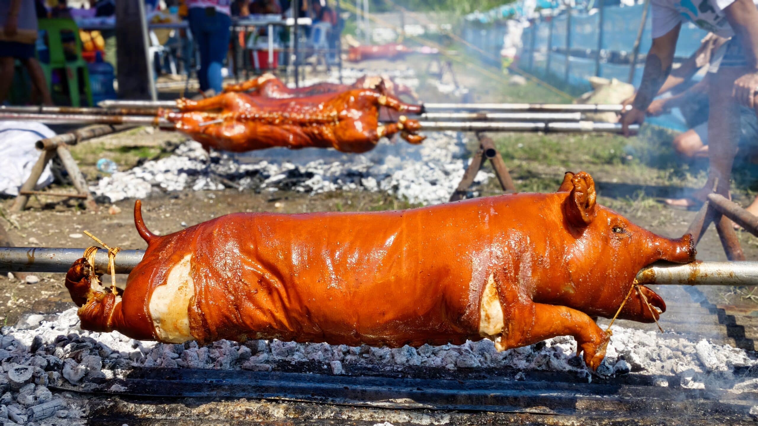 Free roasted pigs: Koronadal’s 13th Lechon Festival draws crowds