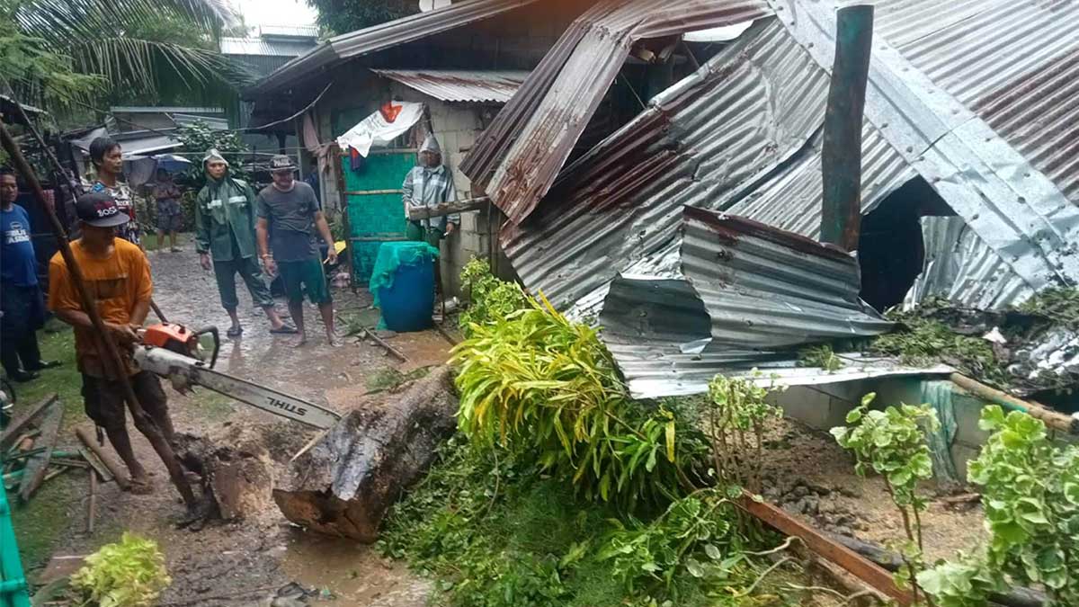 Tree buries house, but ‘bayanihan’ rises in Ilocos Sur