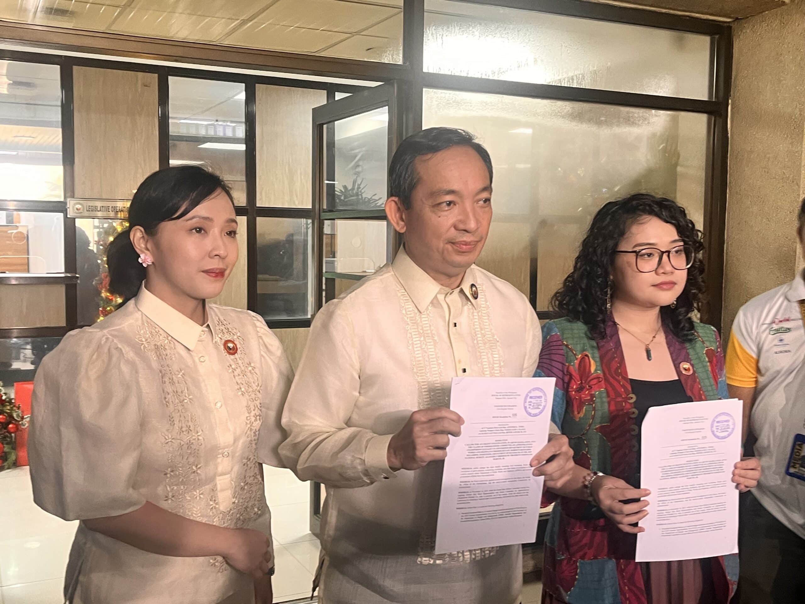 House probe sought into Altai Mining operations in Sibuyan Island