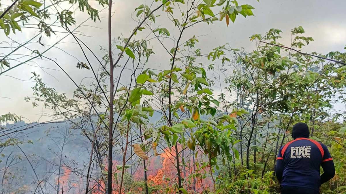 Air support sought as forest fire ravages Homonhon Island in E. Samar