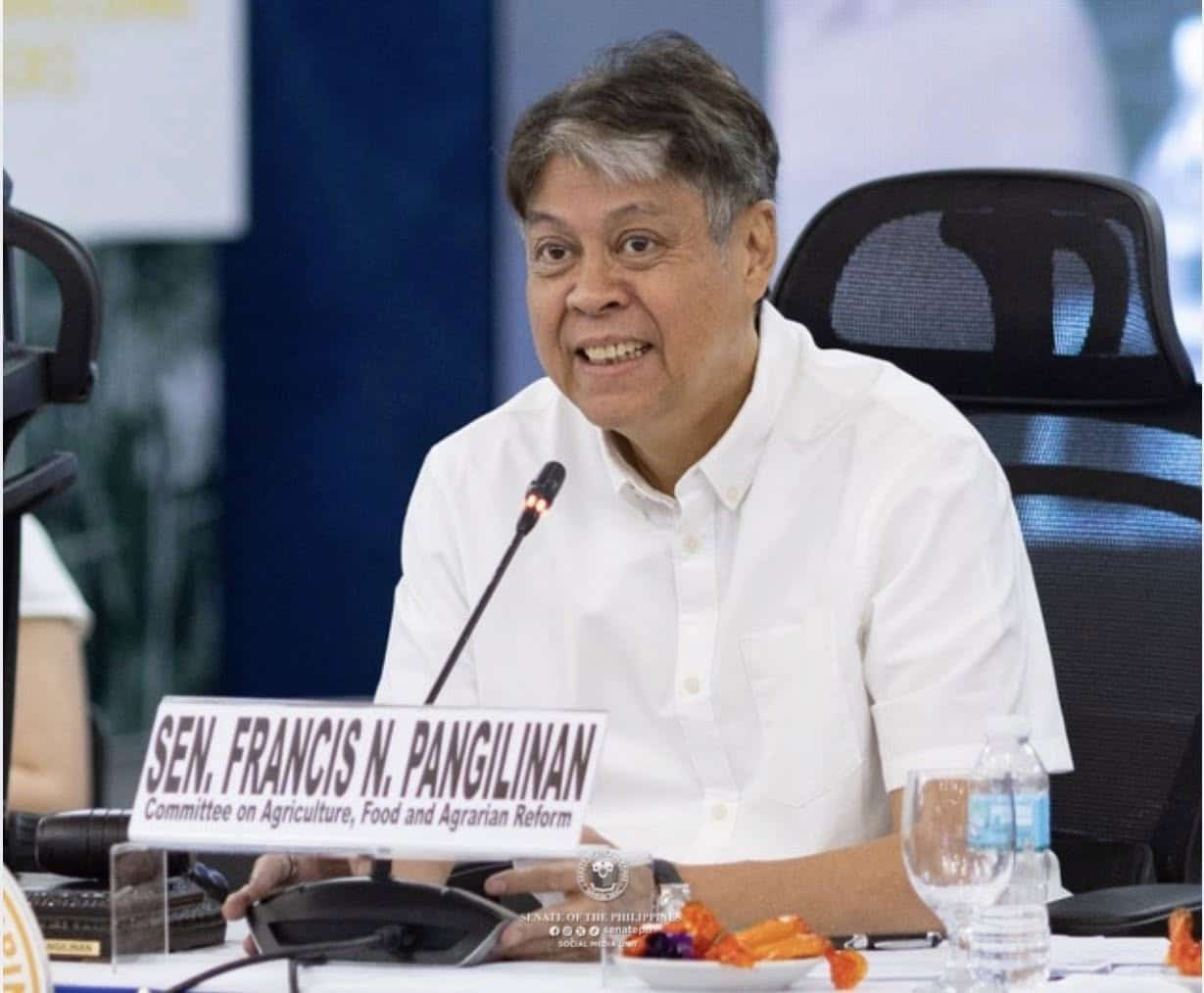 Pangilinan warns vs Holy Week profiteering, hoarding