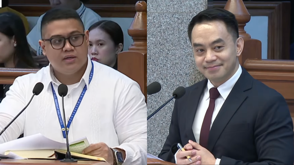 Duterte defense cries ‘mind conditioning’ over SEC shareholdings summary