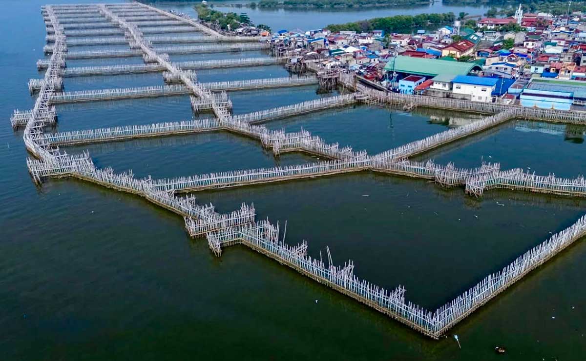 Bulacan’s nature-based flood defense eyed as global model