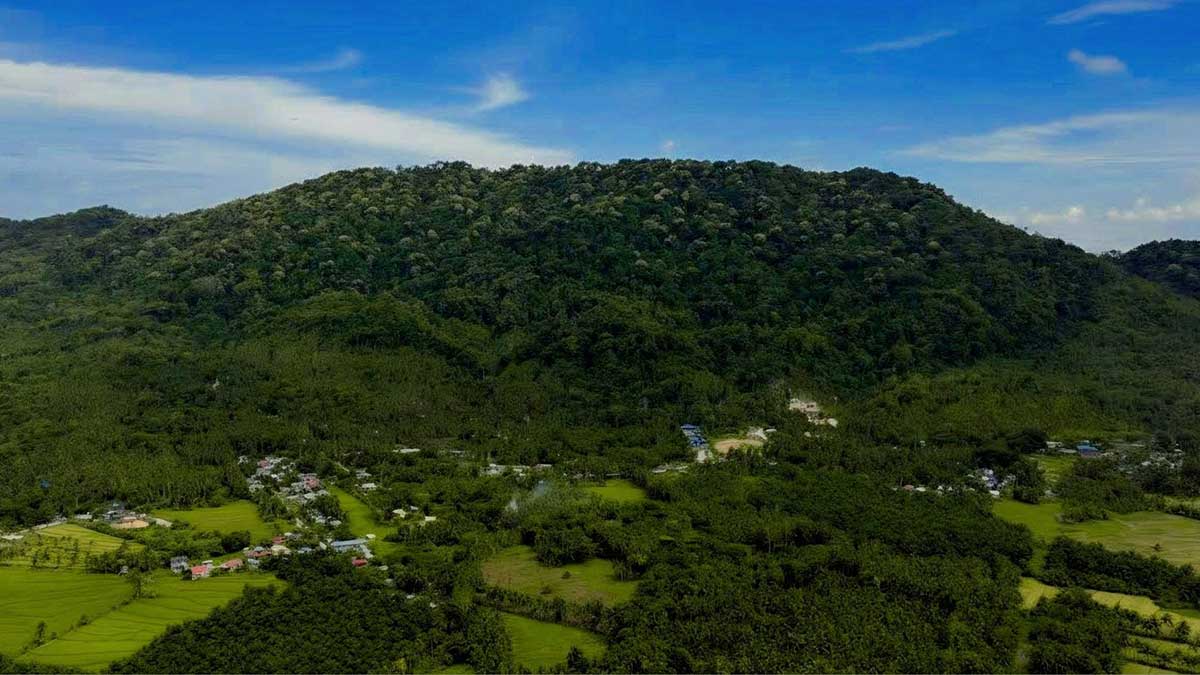 Agusan del Sur’s Mt. Magdiwata in rare, crucial bloom